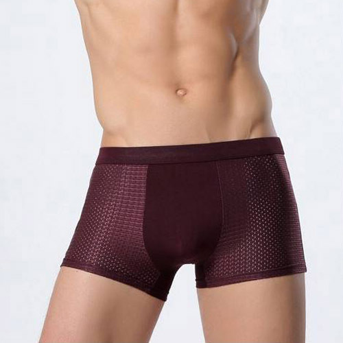 Summer Men's Underpants Mesh Toe Mid-Waist Men's Boxer Shorts